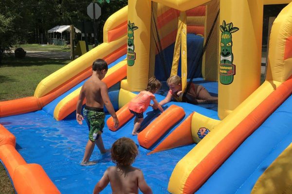 White Pines - Happy Grounds