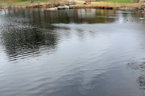 Gibson-Hill-Campground-photos-lake-2-cropped