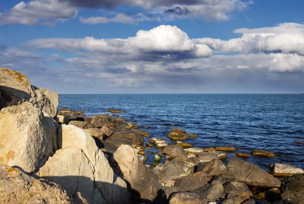 Experience the Charm of New England