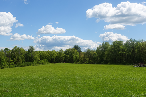 highview