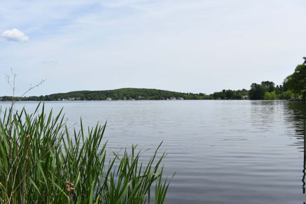 HappyGrounds-BerrysGrove-NewPhotos-12