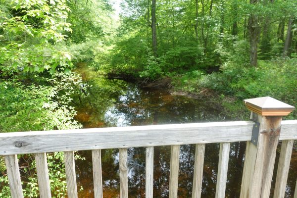 HappyGrounds-FieldandStream-NewPhotos-15