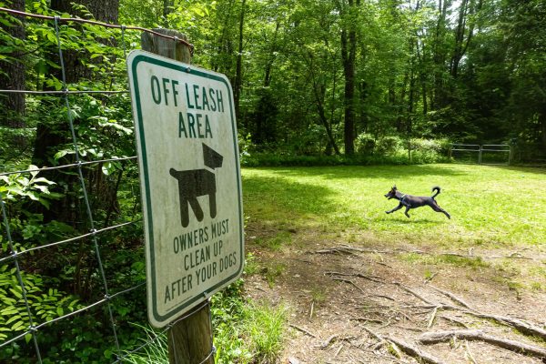 HappyGrounds-FieldandStream-NewPhotos-3