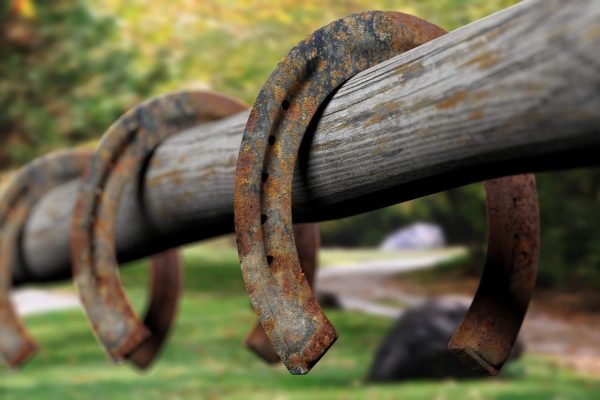 HappyGrounds-AusablePines-horseshoes