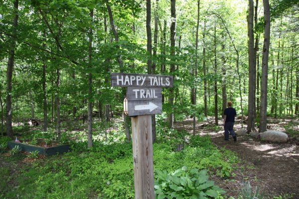 HappyGrounds-WhitePines-HikingTrails-1