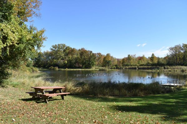 HappyGrounds-HeritageAcres-FishingPond-2-picnictables
