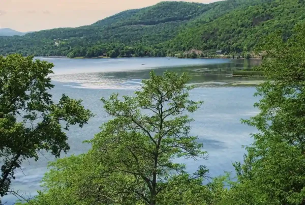 Lake Champlain with calm blue water and green Adirondack foothills, showcasing scenic shoreline views near Champlain, NY.