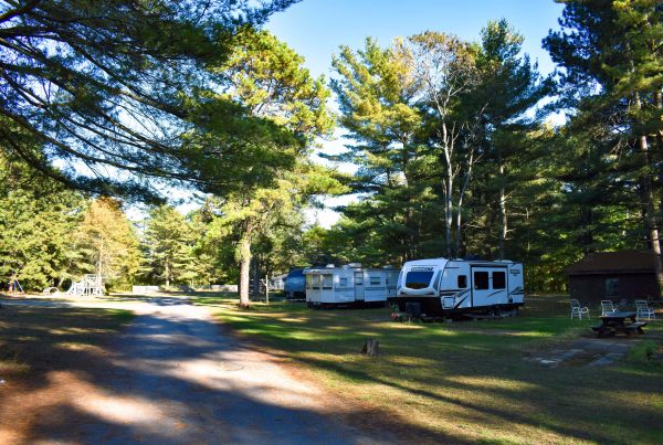 Travel trailers nestled among tall pine trees on spacious grassy sites along a quiet campground road at a campground in Peru, NY
