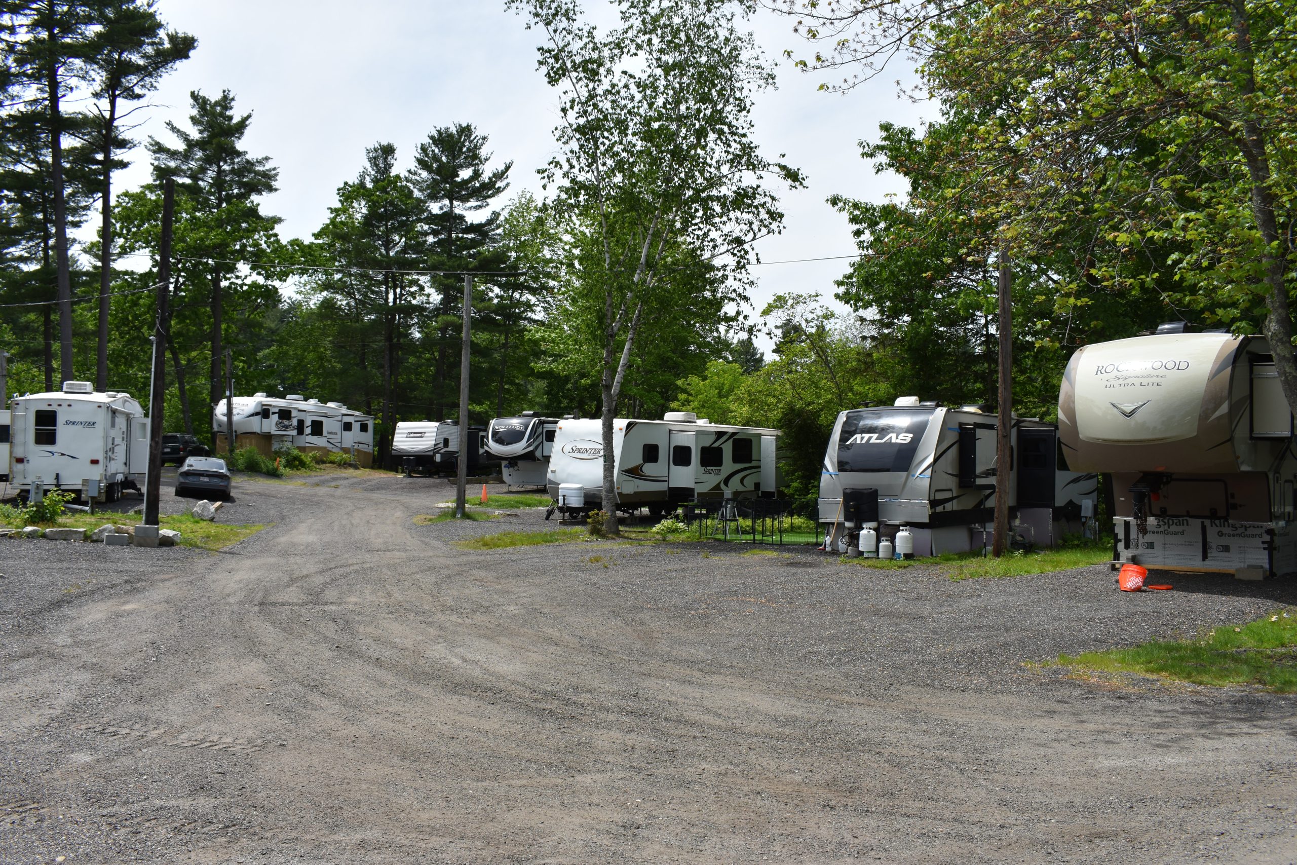 Multiple travel trailers and fifth wheels parked along a gravel road with pine and birch trees at a campground in Bellingham, MA
