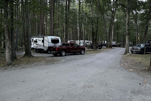 Paved campground road winding through dense wooded sites with travel trailers and pickup trucks under a canopy of tall trees at a campground in Bellingham, MA