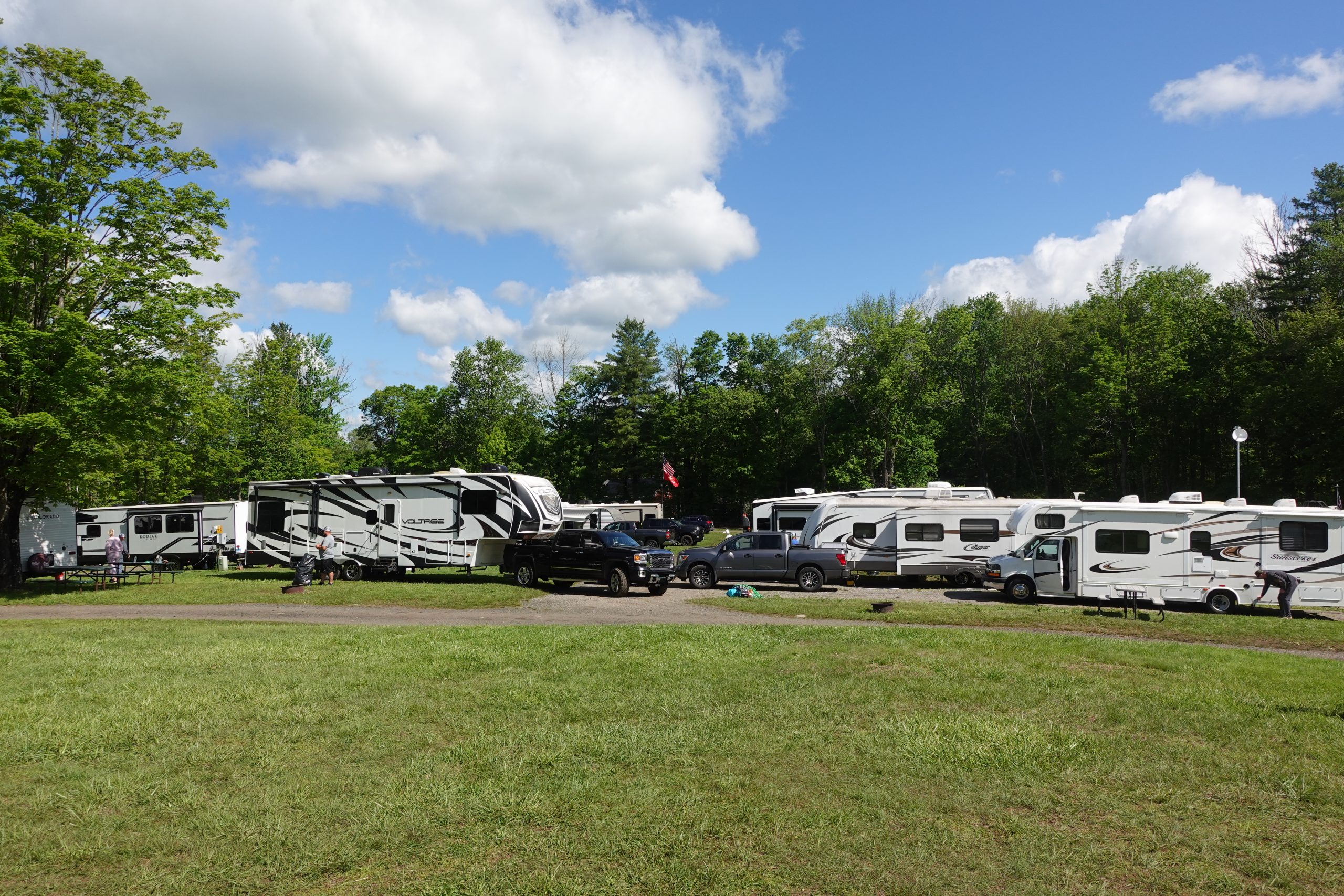 Sunny RV campground with parked motorhomes, pickup trucks, grassy field, and forest backdrop under blue sky.