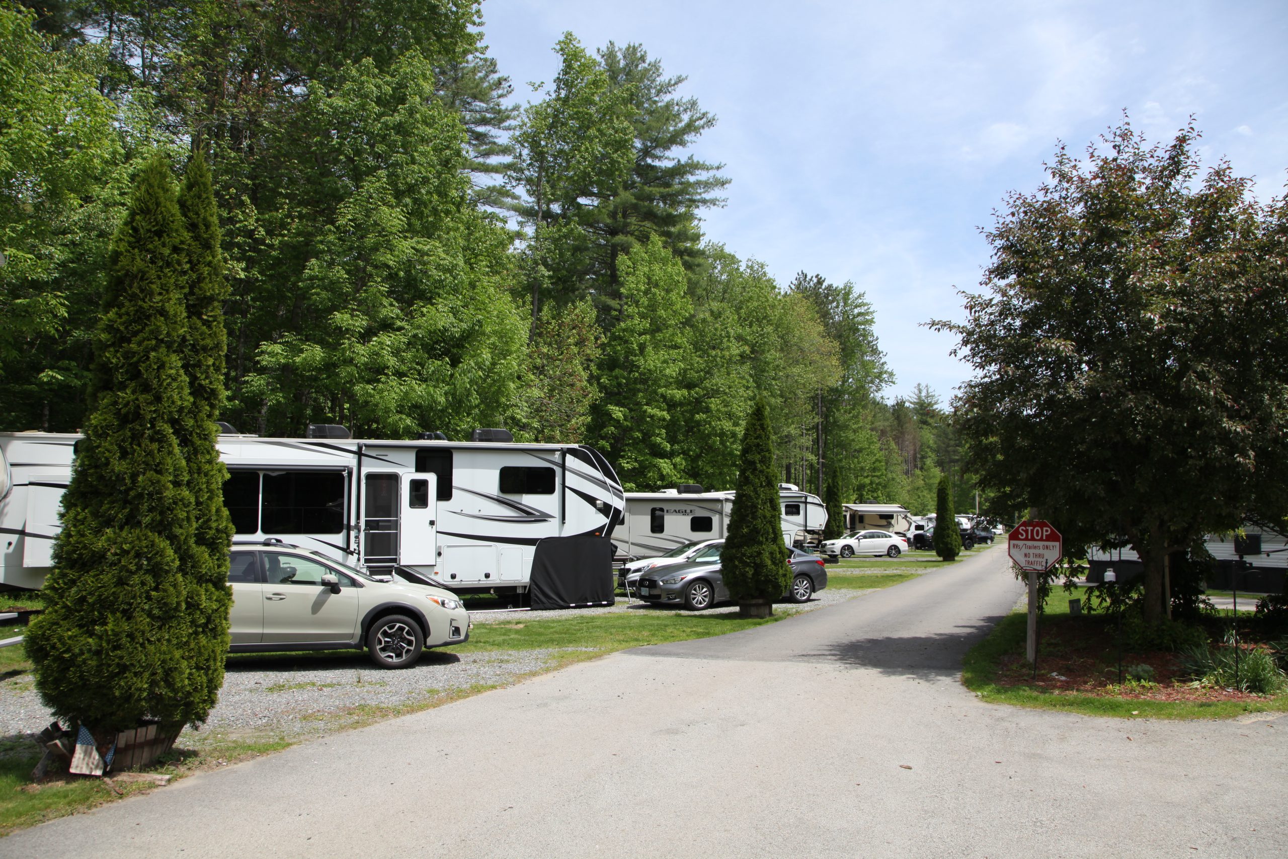 Paved campground road lined with RVs and travel trailers among tall evergreen and deciduous trees at a campground near Nashua, NH