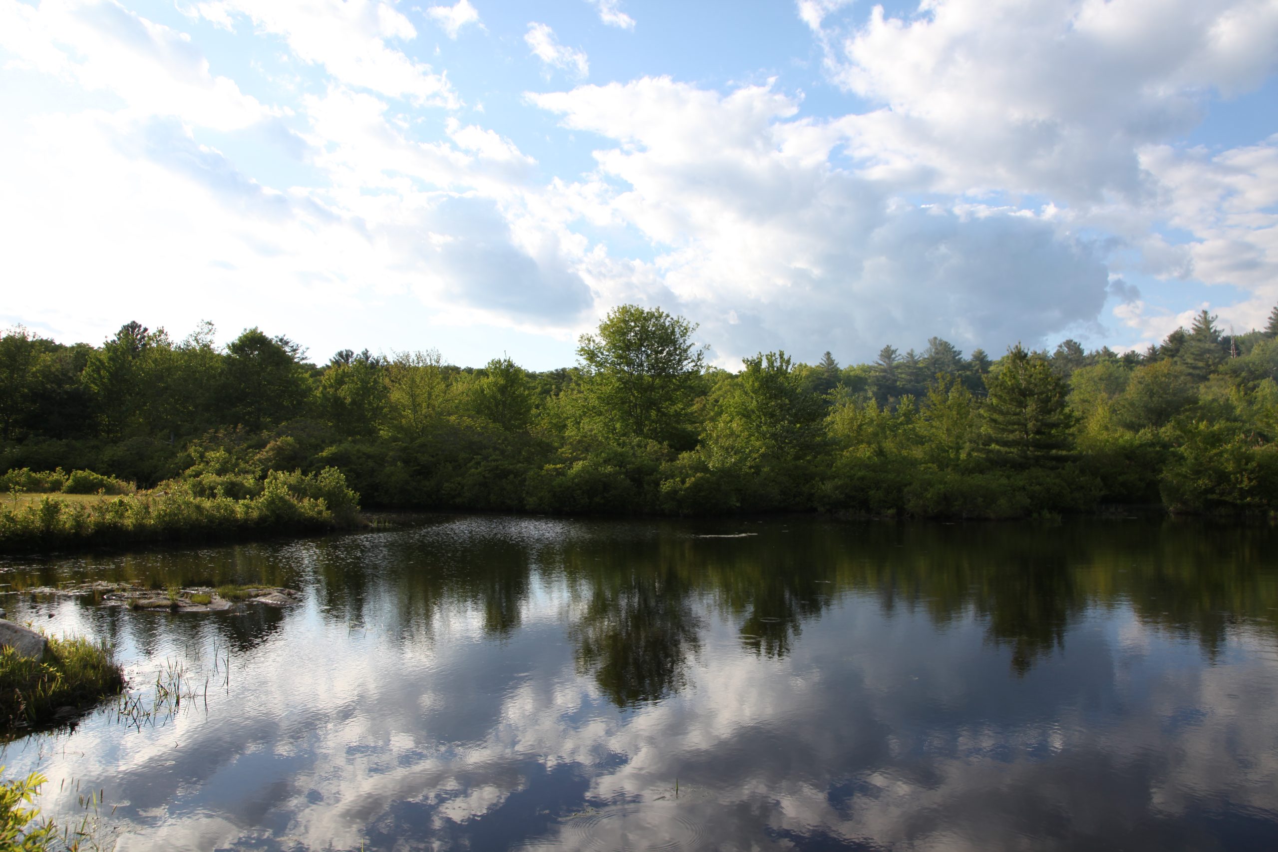 Scenic pond with mirror-like water reflections of clouds and lush green tree line at a campground in Sterling, CT