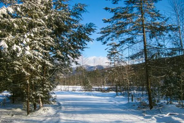 HappyGrounds-CrownPoint-Driveway-Snow