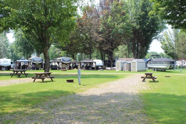 Grassy campsites with picnic tables, RVs, and storage sheds under mature shade trees at a campground in New York