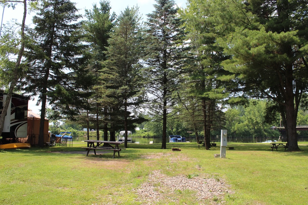 Spacious grassy campsite with picnic table, fire pit, and tall pine trees near a pond at a campground in New York