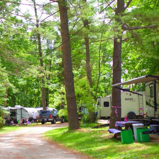 A shaded campground road with travel trailers, picnic tables, and recycling bins set up among tall pine trees.