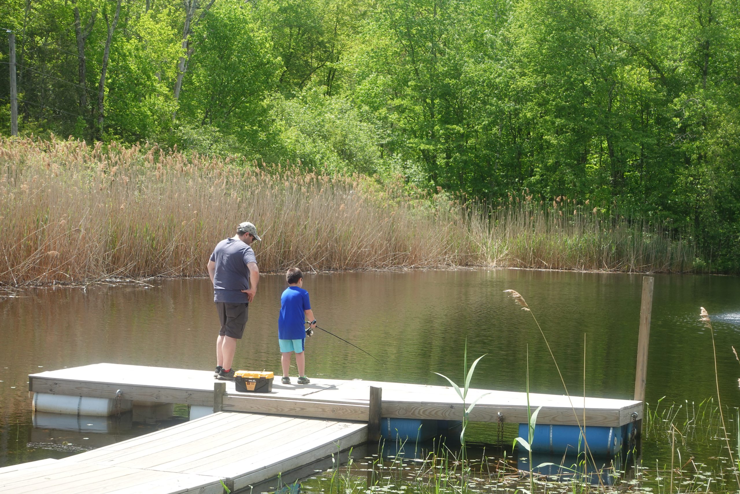 A man and young boy fishing together from a wooden dock on a tree-lined pond.