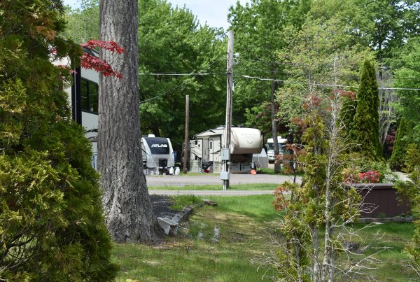 RVs and travel trailers parked at a campground viewed through trees and shrubs from a neighboring site.