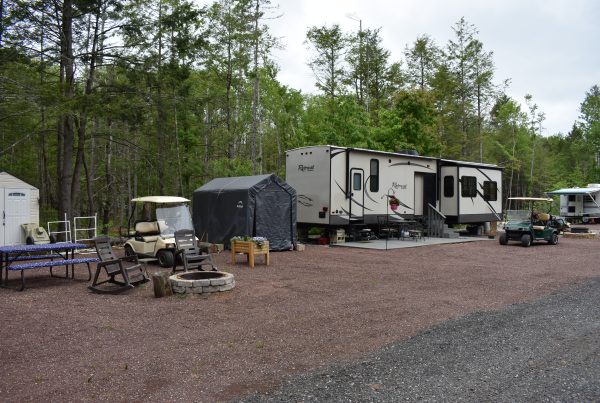Park Trailer at a seasonal campsite with golf carts, a stone fire pit, rocking chairs, and a storage shelter surrounded by trees.