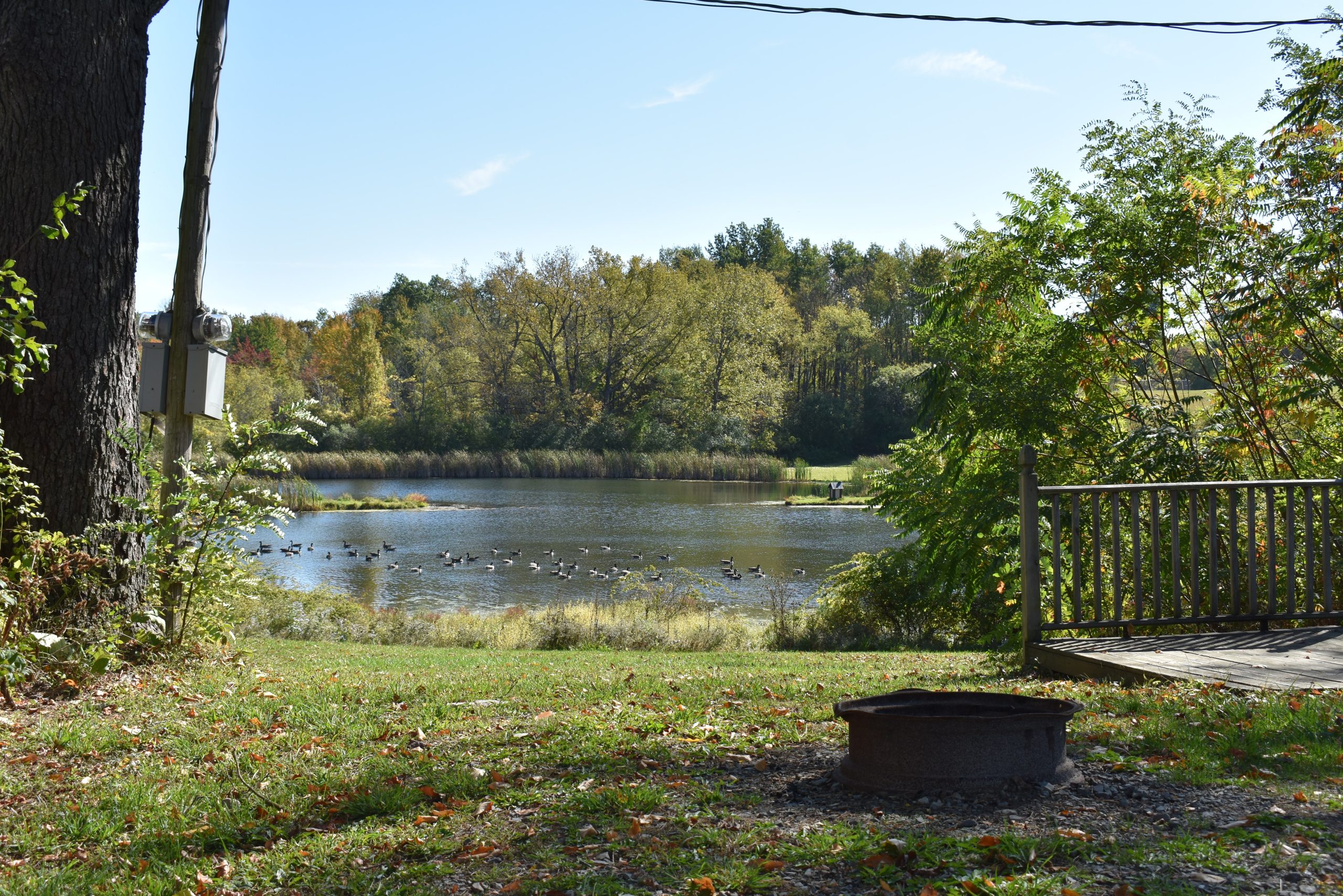Tree-lined pond viewed from a campsite with a fire pit and wooden deck.