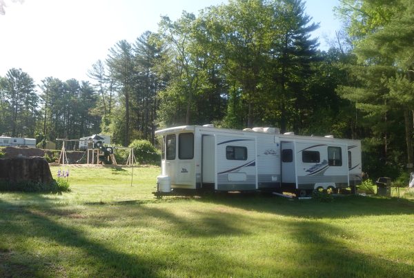 Travel trailer parked on a grassy campsite with a playground and tall pine trees in the background.