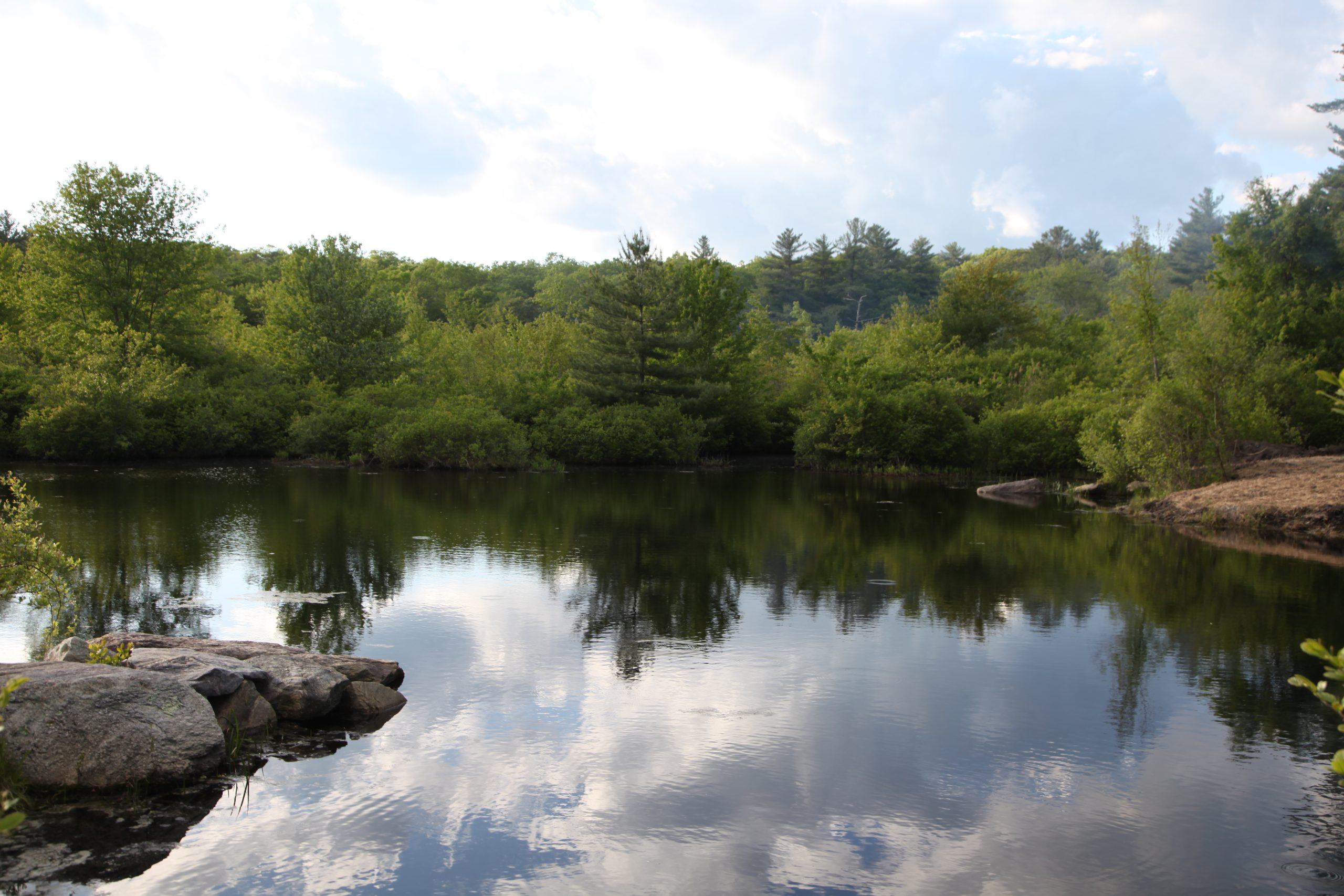 A calm forest pond reflecting the sky and surrounding trees, with large rocks in the foreground.