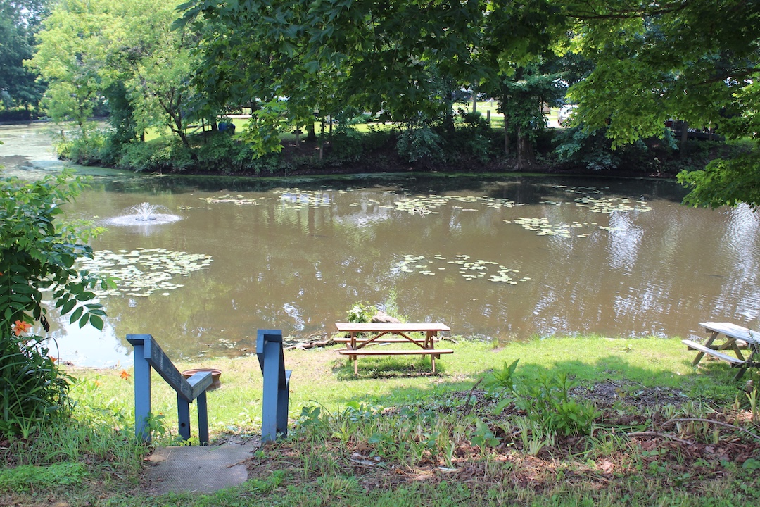 A peaceful pond with a small fountain and lily pads, viewed from a grassy bank with picnic tables and wooden steps.
