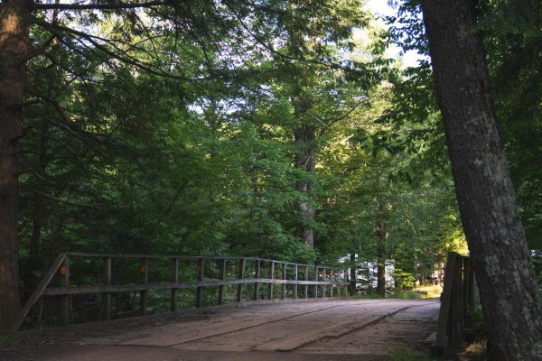Willowemoc_Campground_Bridge