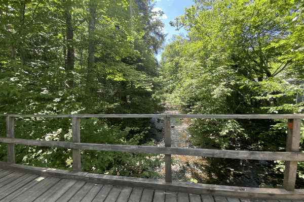Willowemoc_Creek_Bridge_View
