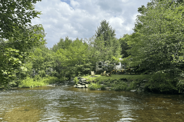 Willowemoc_Creek_campsite