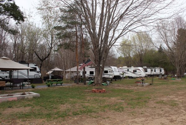 Ausable River Campsite