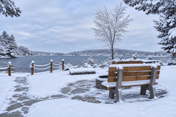 Berrys-Grove-Winter-003