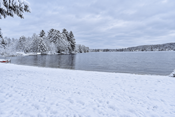 Berrys-Grove-Winter-004