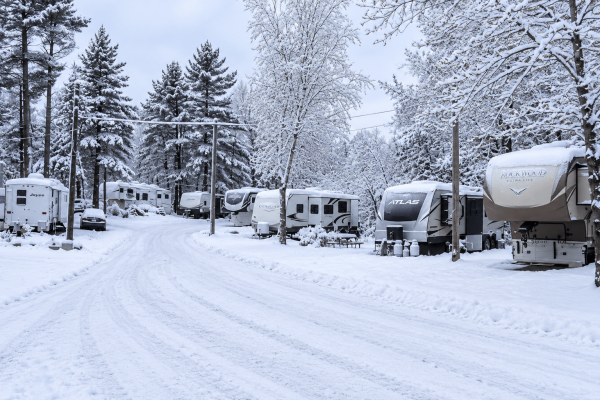 Berrys-Grove-Winter-005