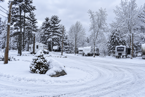 Berrys-Grove-Winter-006