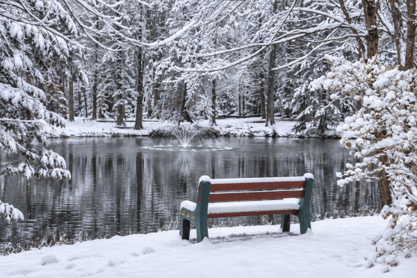 Circle-CG-Winter-004