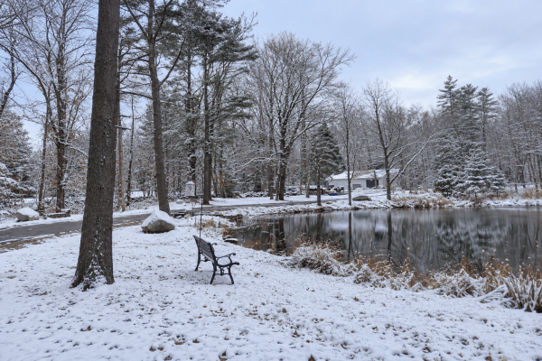 Peaceful-Pines-Winter-003