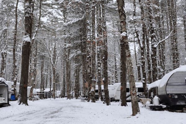 Peaceful-Pines-Winter-004