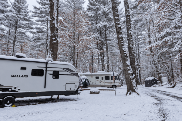 Peaceful-Pines-Winter-005