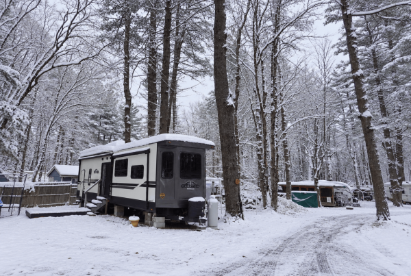Snow-covered RV campsite surrounded by tall trees in a quiet winter forest.