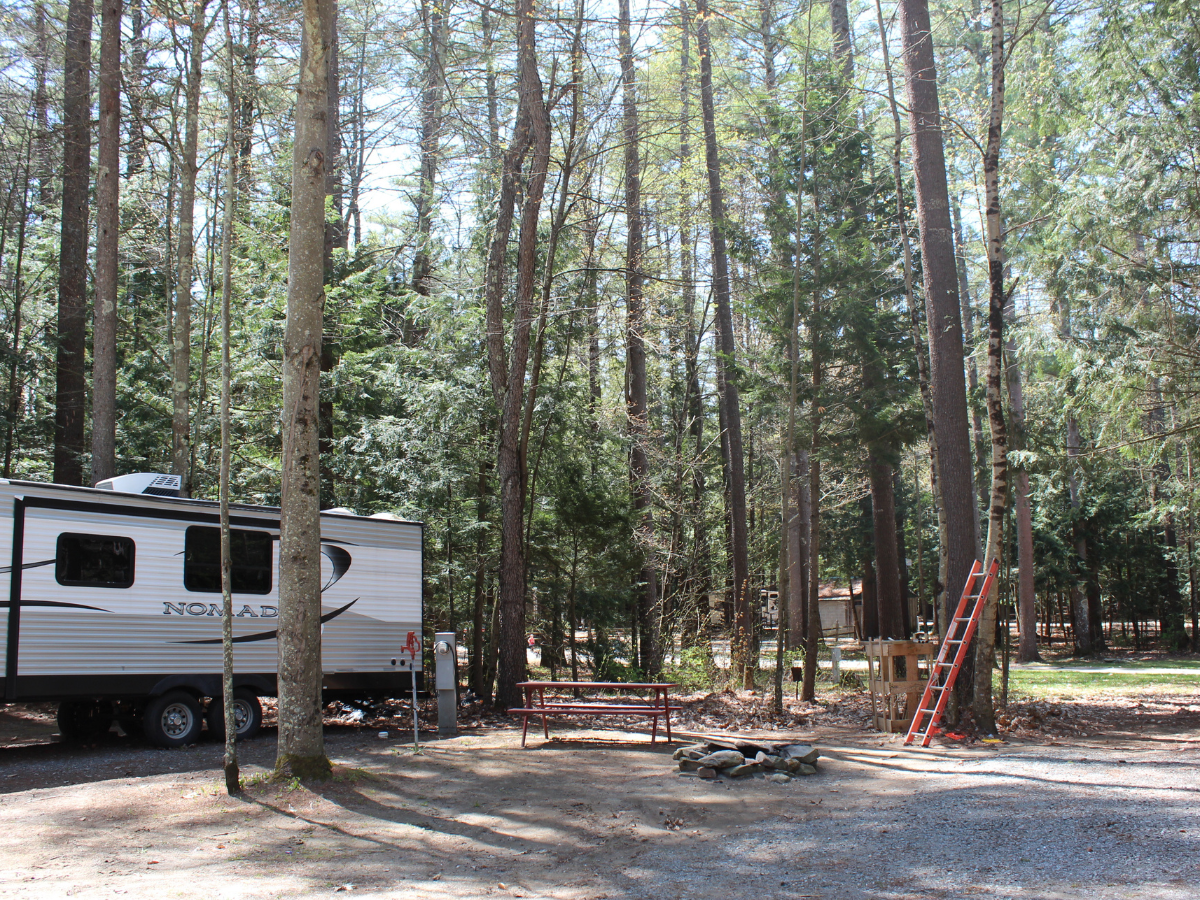 30-Amp vs 50-Amp RV Hookups: What Campers Need to Know